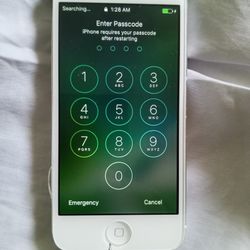 Apple Iphone 5..$30.  Screen Needs Repair