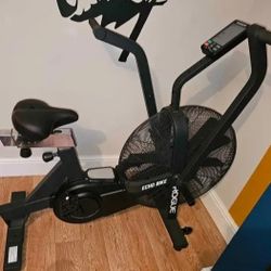 Rogue-Echo-Bike-V3.0