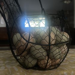 Grow Your Own Birds 
