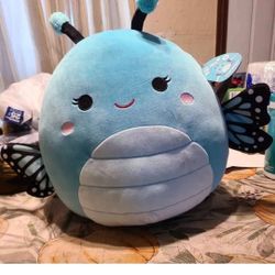 Squishmallow New With Tag 