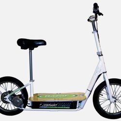 Ecosmart Scooter 