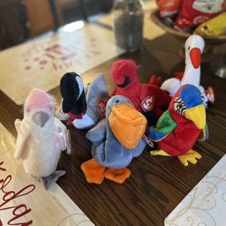 Ty beanie babies Bird Lot