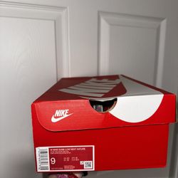Nike Dunks 