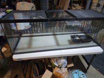 Reptile enclosure