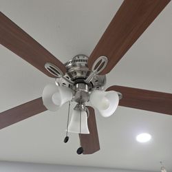 Ceiling Fan With Lights