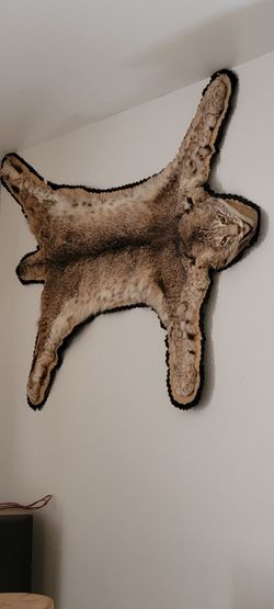 Bob Cat Pelt 