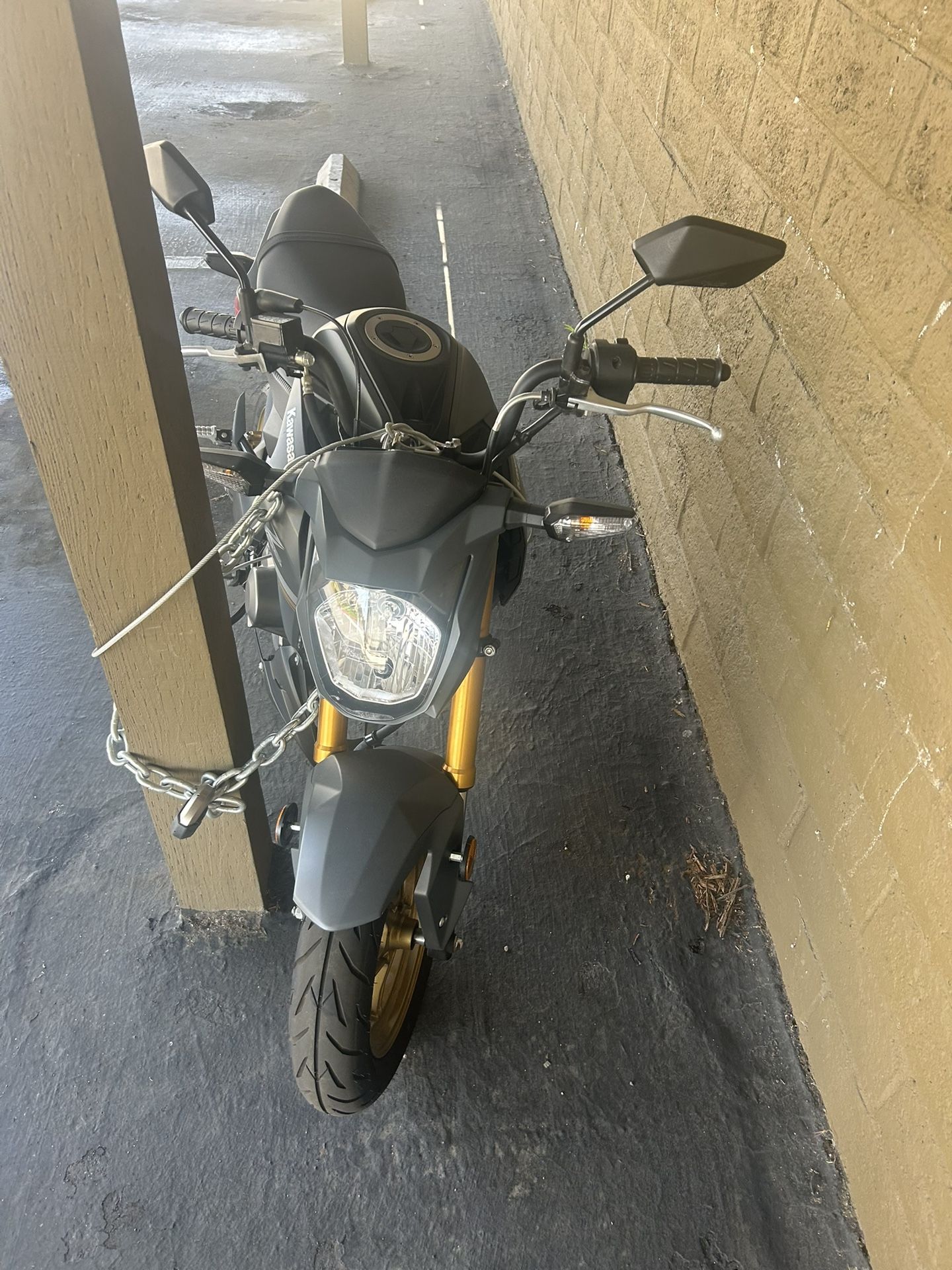 2024 Kawasaki Z125