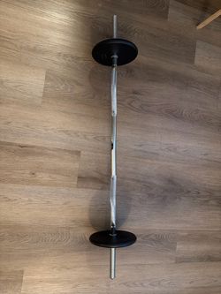EZ Bar with weight 10lb plates