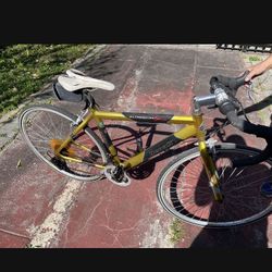 Denali Bike 