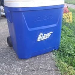 Cooler 