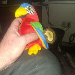 Jabber The Parrot