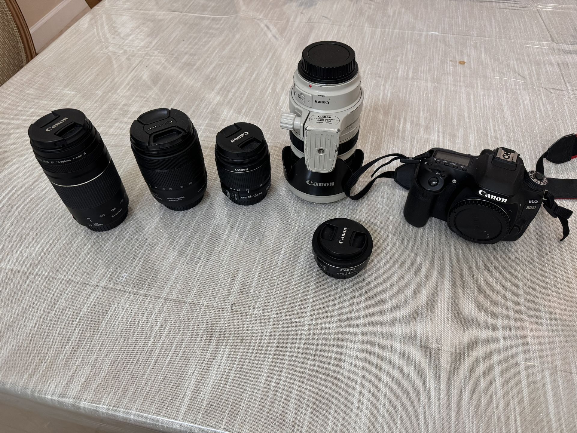 Canon Set or individual lens