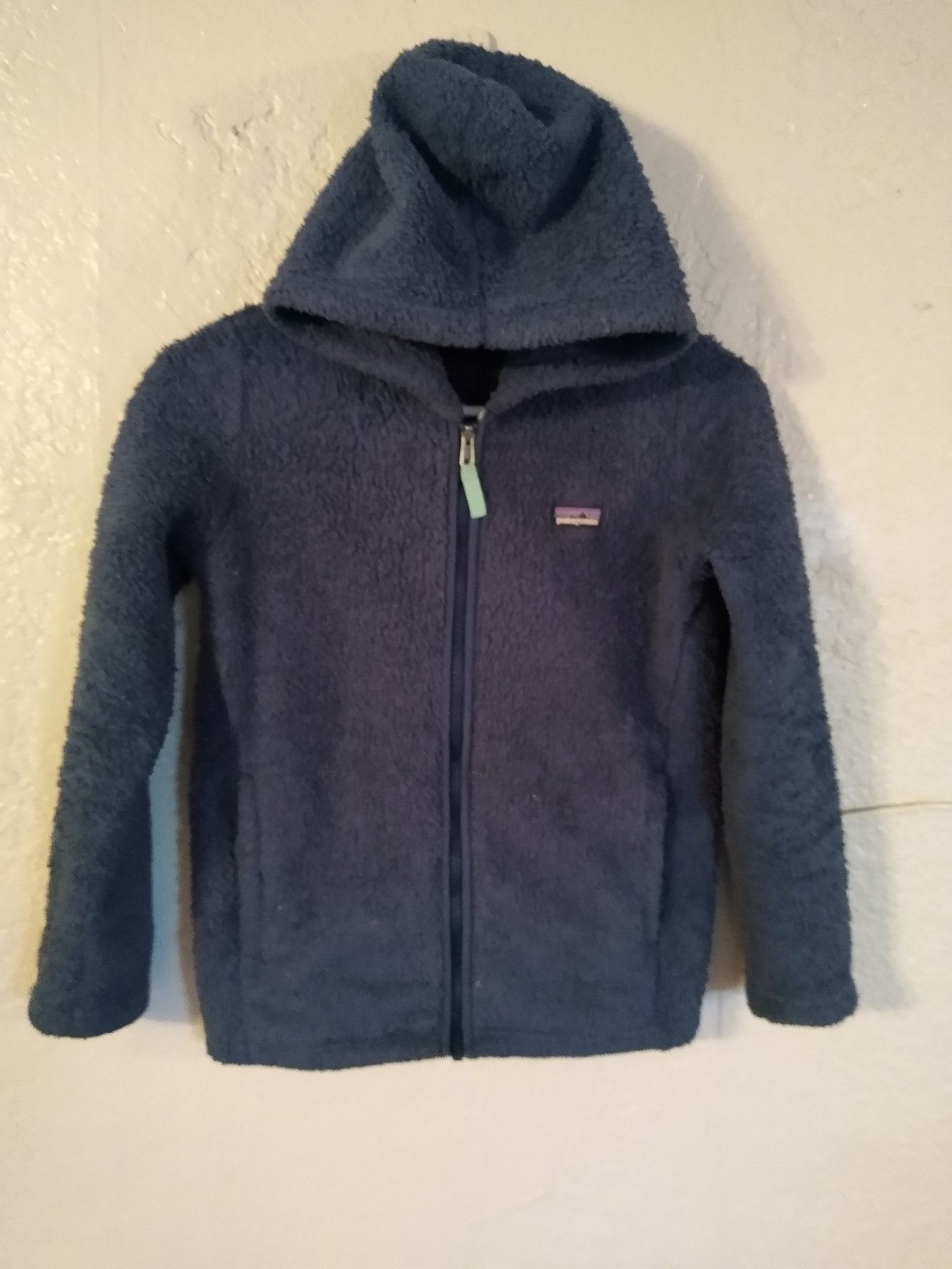 Patagonia Fuzzy Hoodie