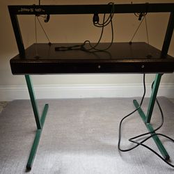 Plant Light with Stand