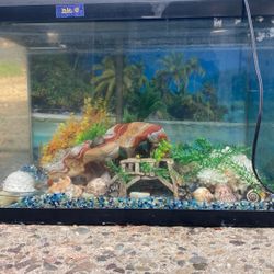 Fish tank for Sale Everything Included For Beginner Friendly 