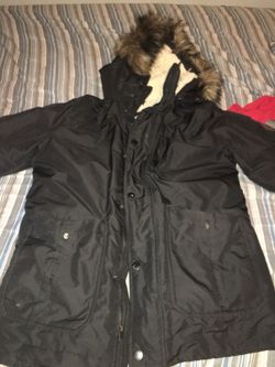 Hollister parka