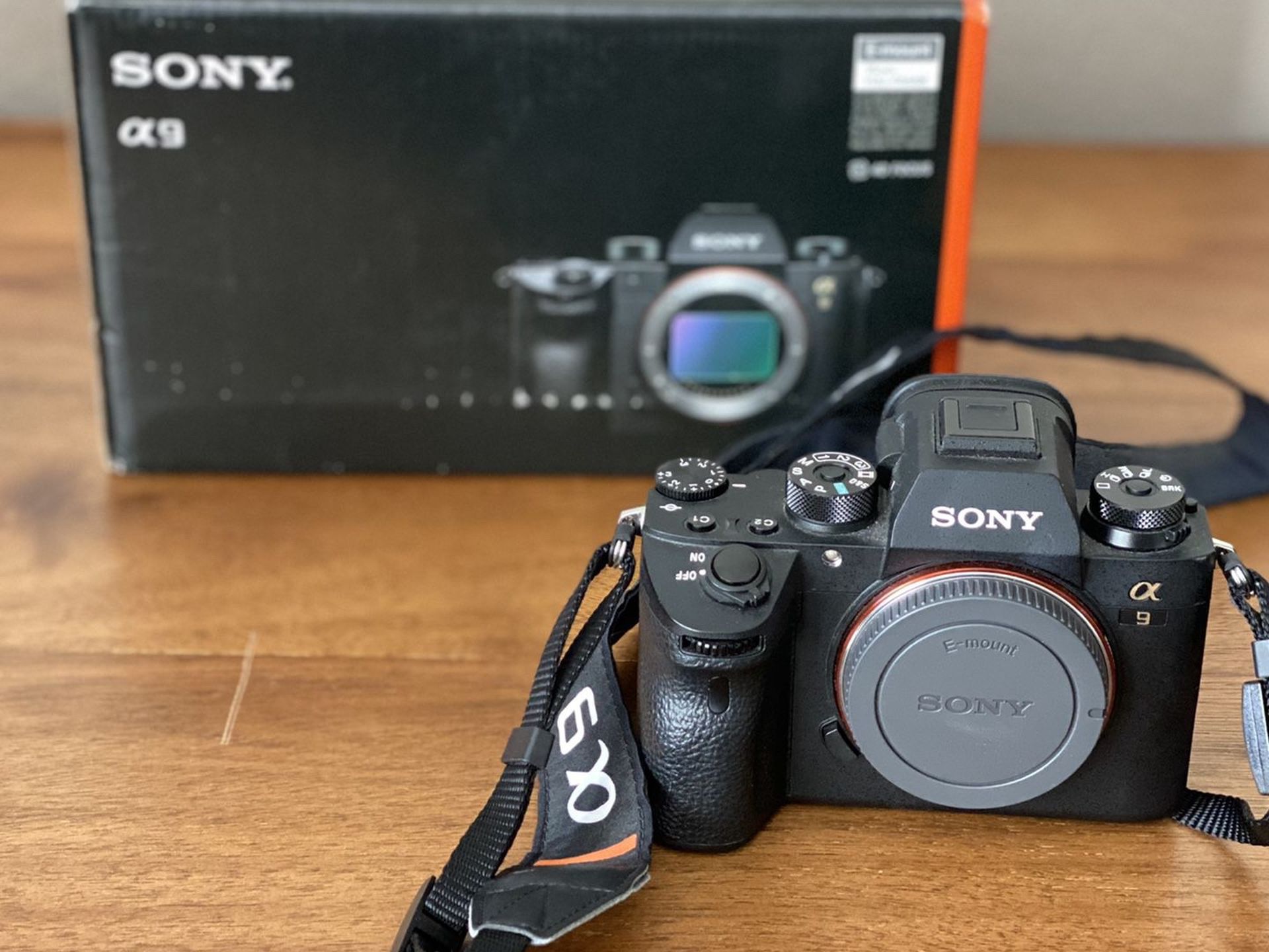 Sony a9 Mirrorless Camera, 50mm f1.8, Lowepro Camera bag