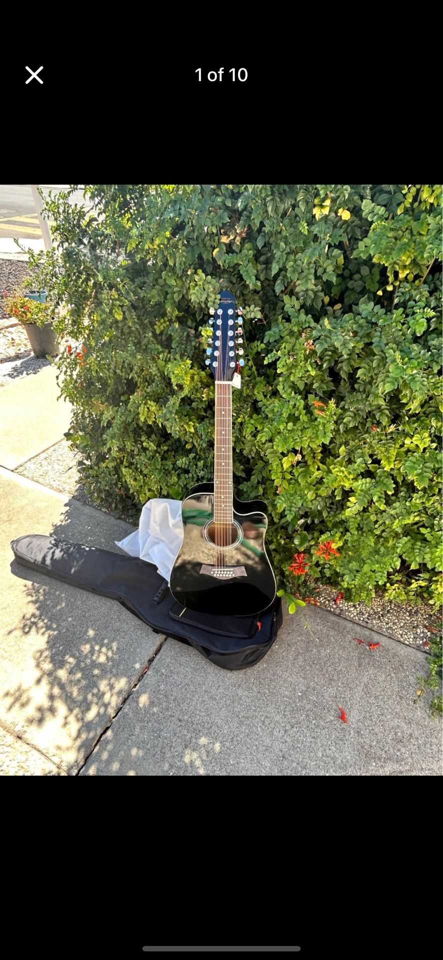 Electric Acoustic Guitar 🎸 12 String