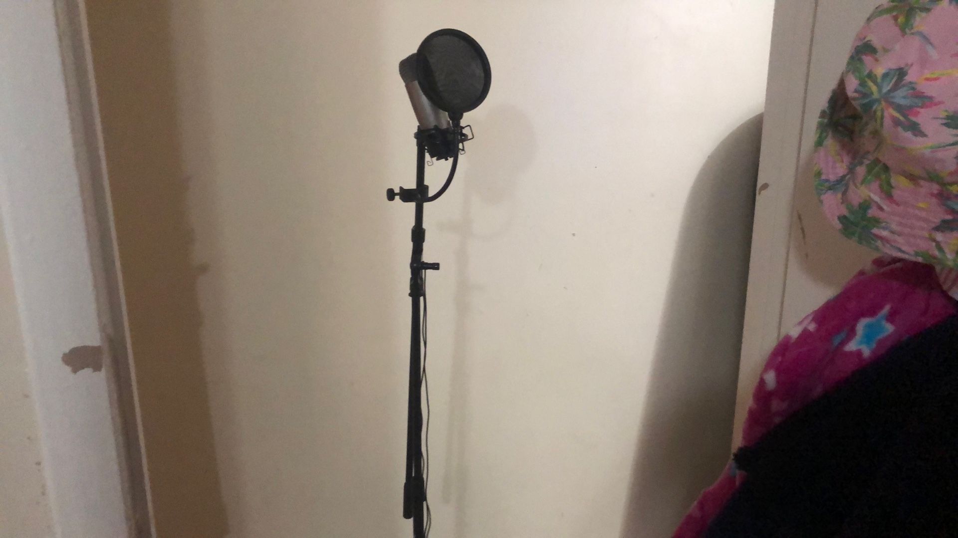 Mic Stand 