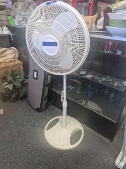 Fan $10
