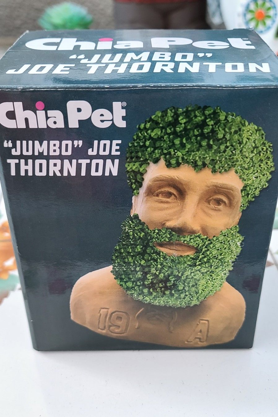 San Jose Sharks Chia Pet