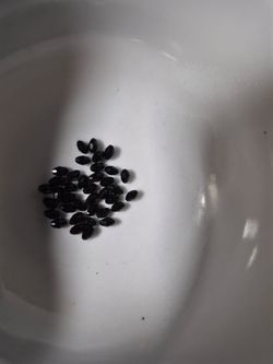 36 2mm black glass beads