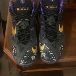Nike Lebron James Sneakers