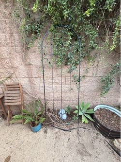Arch trellis black metal