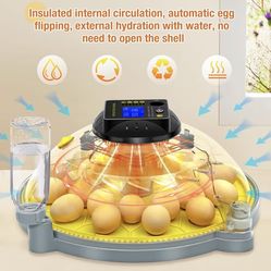 48 eggs incubator and laying hens, silkies and chicks