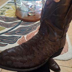 FREEBIRD OSTRICH BOOTS