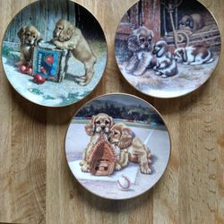 Cocker Spaniel Adorable Plates