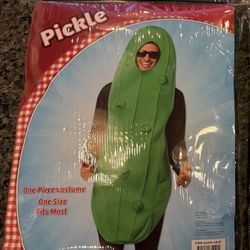 Pickle Costume (Adult) - Brand New