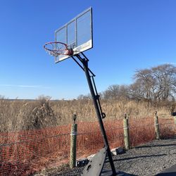 Basketball Net $20.00 Or Best Offer