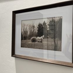 HORSE FRAME 