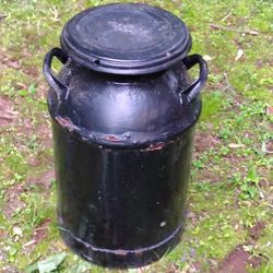 Milk Jug