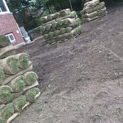 fresh sod cut every morning 