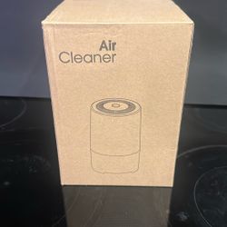 Air Cleaner 