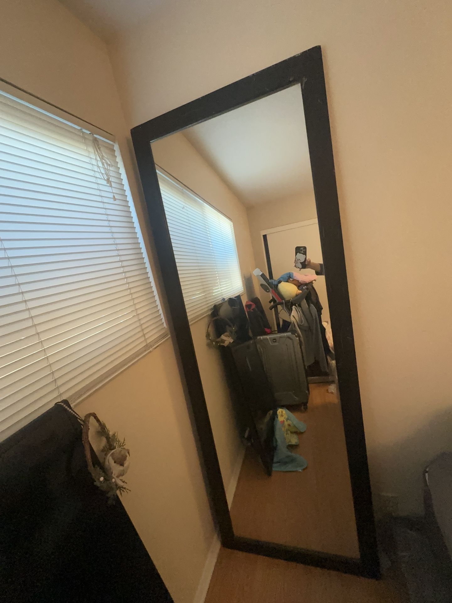 18" × 52" Non-Beveled Furniture Espresso Narrow Full Length on The Door Mirror - Amanti Art: Polysty