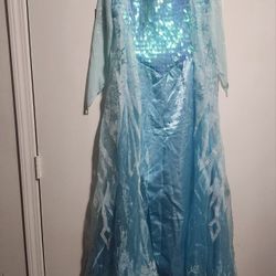Adult Small 4-6 Elsa Costume Frozen 