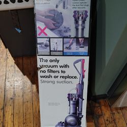 Dyson Cinetic Big Ball Animal 