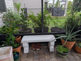 Concrete benches