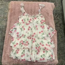 New Wild Fable Dress 