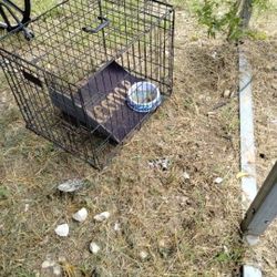 Medium Sized Dog Kennel Good Condition