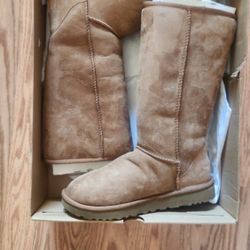 Uggs Size 8