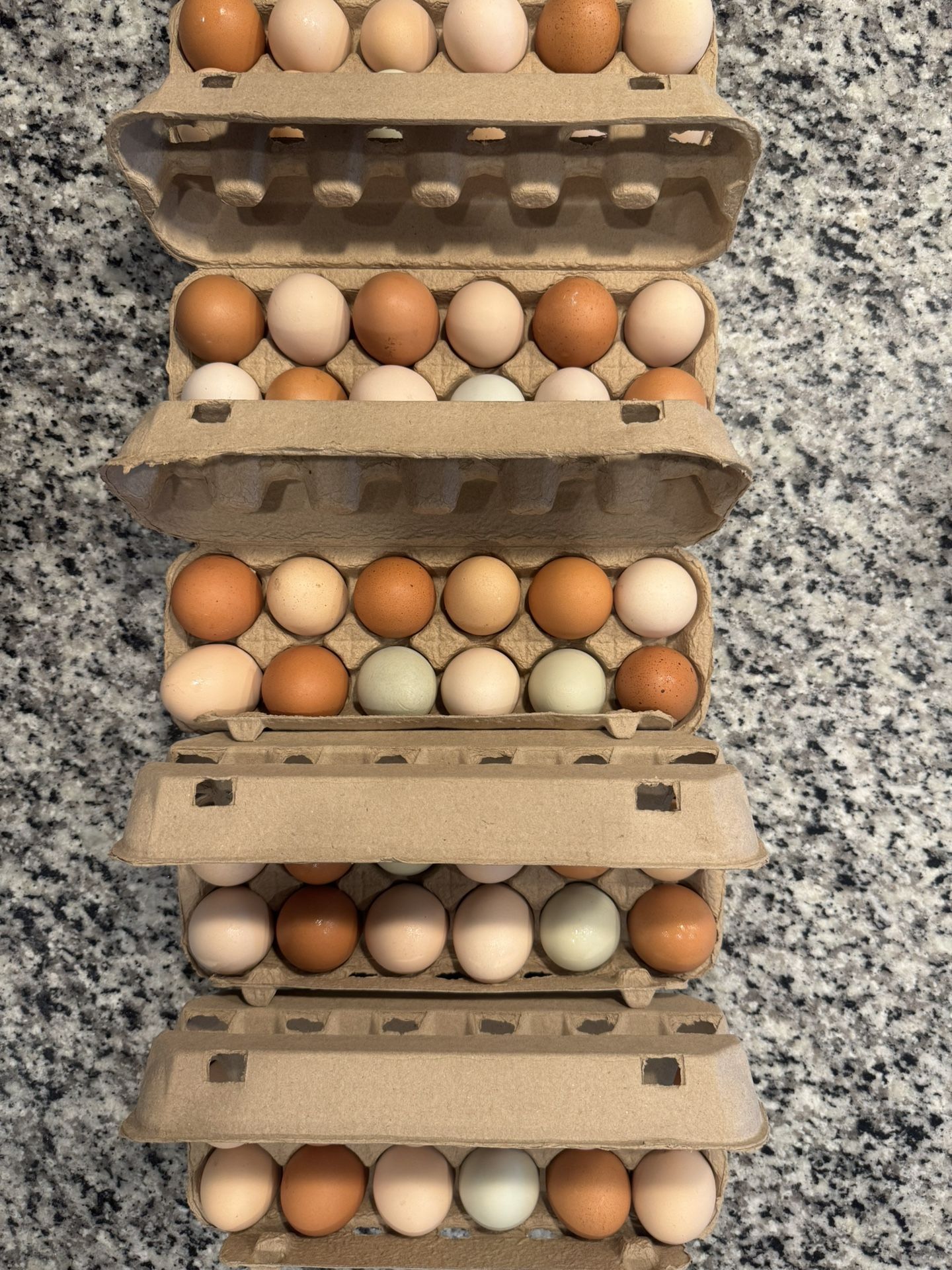 Dozen Farm Fresh