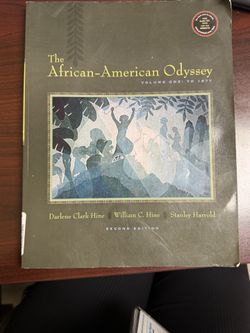 African American Odyssey second edition