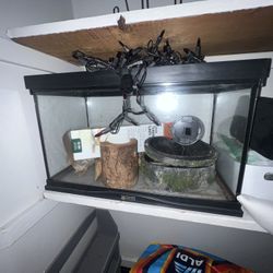 Reptile Tank