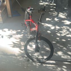 20” Kids Bike