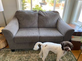 Gray brown Fabric Loveseat Sofa