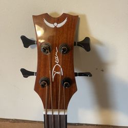 Acoustic Electric Bass